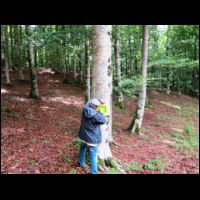 la liscia luglio 2014 034.JPG